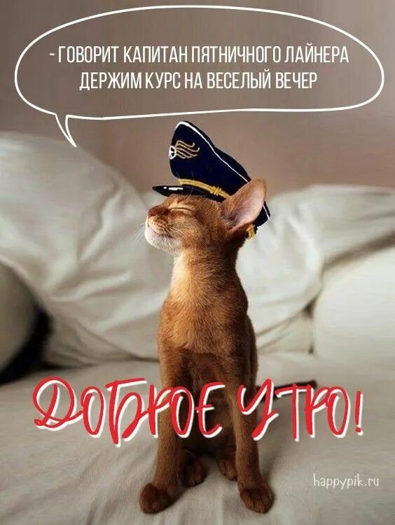 Картинка доброе утро прикольная смешная веселая Доброе утро позитивные картинки. Смешные картинки про утро. Доброе утро, Счастли