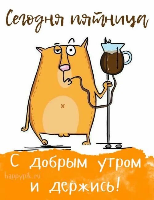 Картинка доброе утро прикольная смешная веселая Доброе утро прикольные картинки. 70 новых картинок с добрым утром. в 2020 г Добр