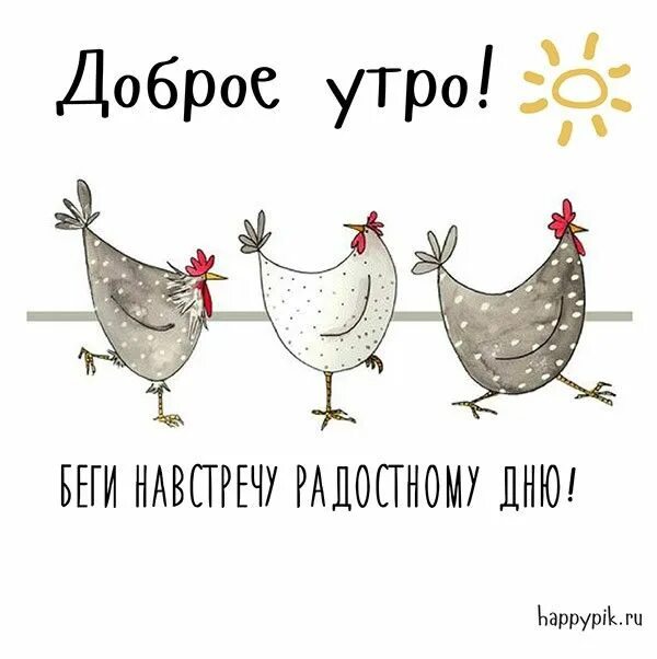 Картинка доброе утро прикольная смешная веселая Доброе утро прикольные картинки. 90 новых картинок с добрым утром. Доброе утро, 