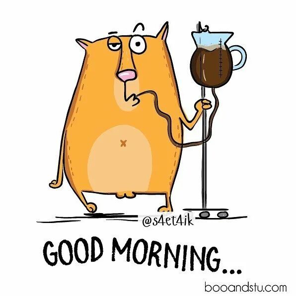 Картинка доброе утро прикольная смешная веселая Доброе утро! ☕ ️☕ #booandstu Coffee jokes, Coffee humor, Coffee artwork