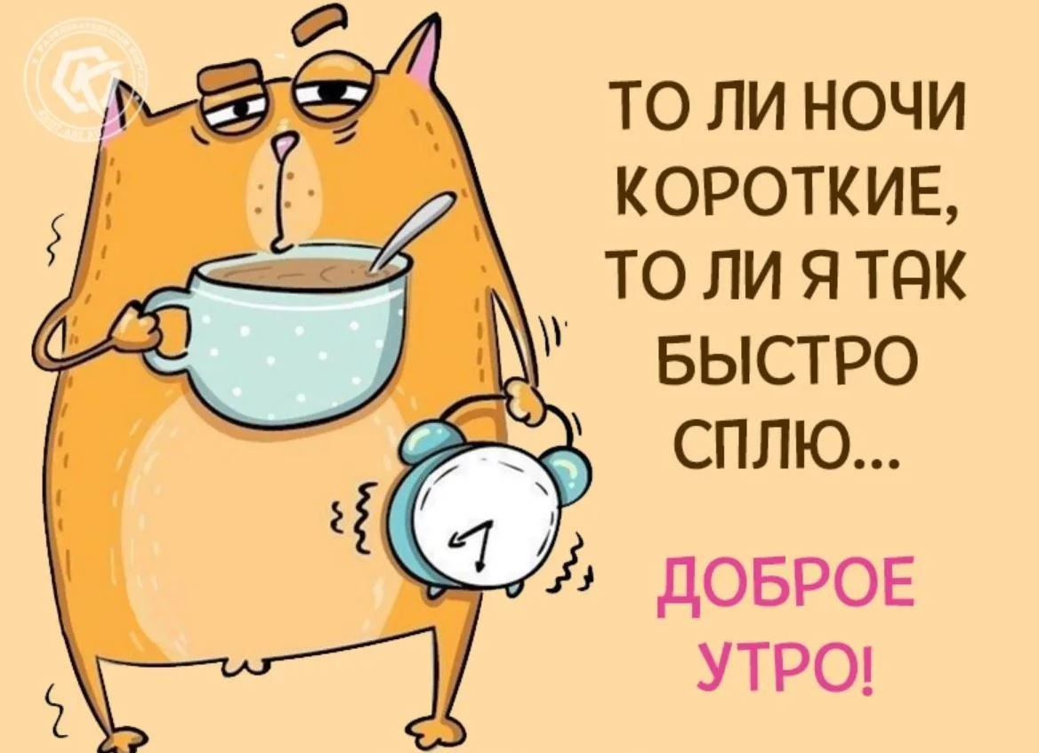 Картинка доброе утро прикольная смешная веселая ПРИВЕТСТВИЯ и ПОЖЕЛАНИЯ, открытки на каждый день. опубликовал пост от 27 апреля 