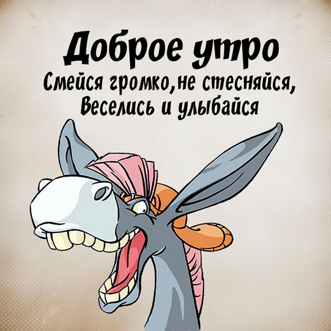 Картинка доброе утро прикольная смешная веселая Открытки и красивые картинки с ДОБРЫМ УТРОМ
