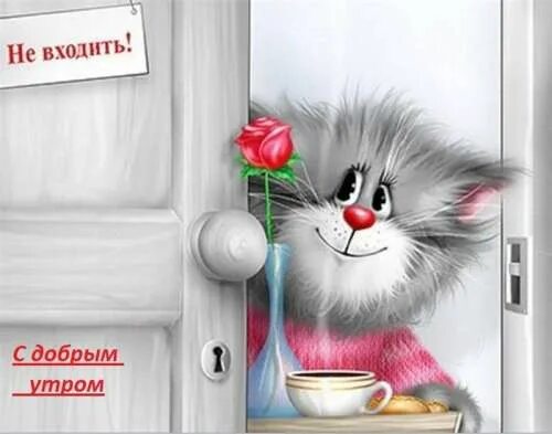 Картинка доброе утро прикольная женщине Гостевая