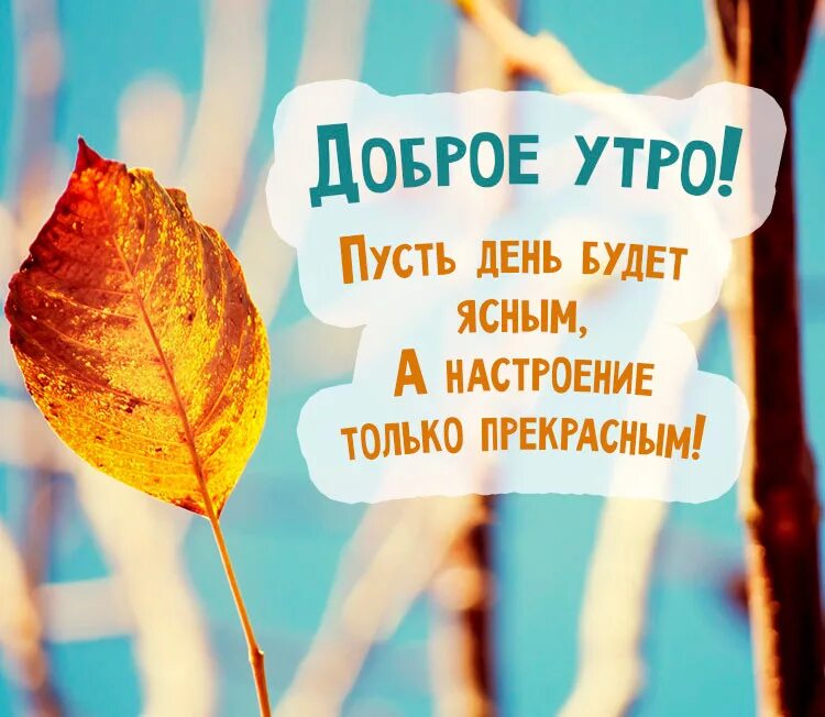 Картинка доброе утро прикольная женщине осенняя С добрым утром! Желаю солнечного дня и чудесного настроения - смотреть видео онл