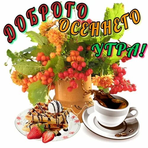 Картинка доброе утро прикольная женщине осенняя Открытка Доброго осеннего утра!