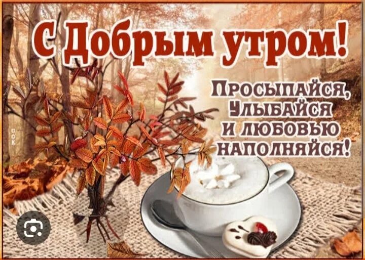 Картинка доброе утро прикольная женщине осенняя Хорошего дня, наши любимые подписчики! Не грустим, улыбаемся, начинаем новый ден