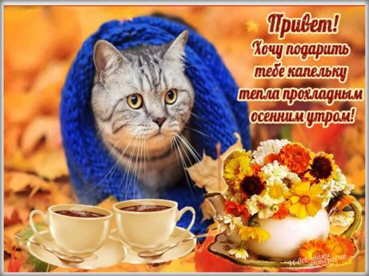 Картинка доброе утро прикольная женщине осенняя Доброе утро и хорошего дня, очень красивые картинки с пожеланиями, новая подборк