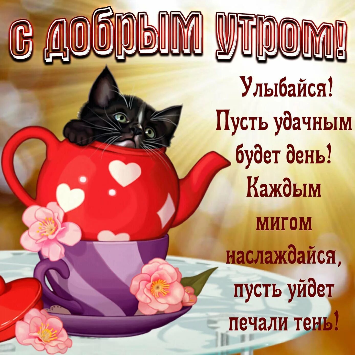Картинка доброе утро прикольная женщине скачать бесплатно Доброе утро на ватсап женщине: найдено 72 изображений