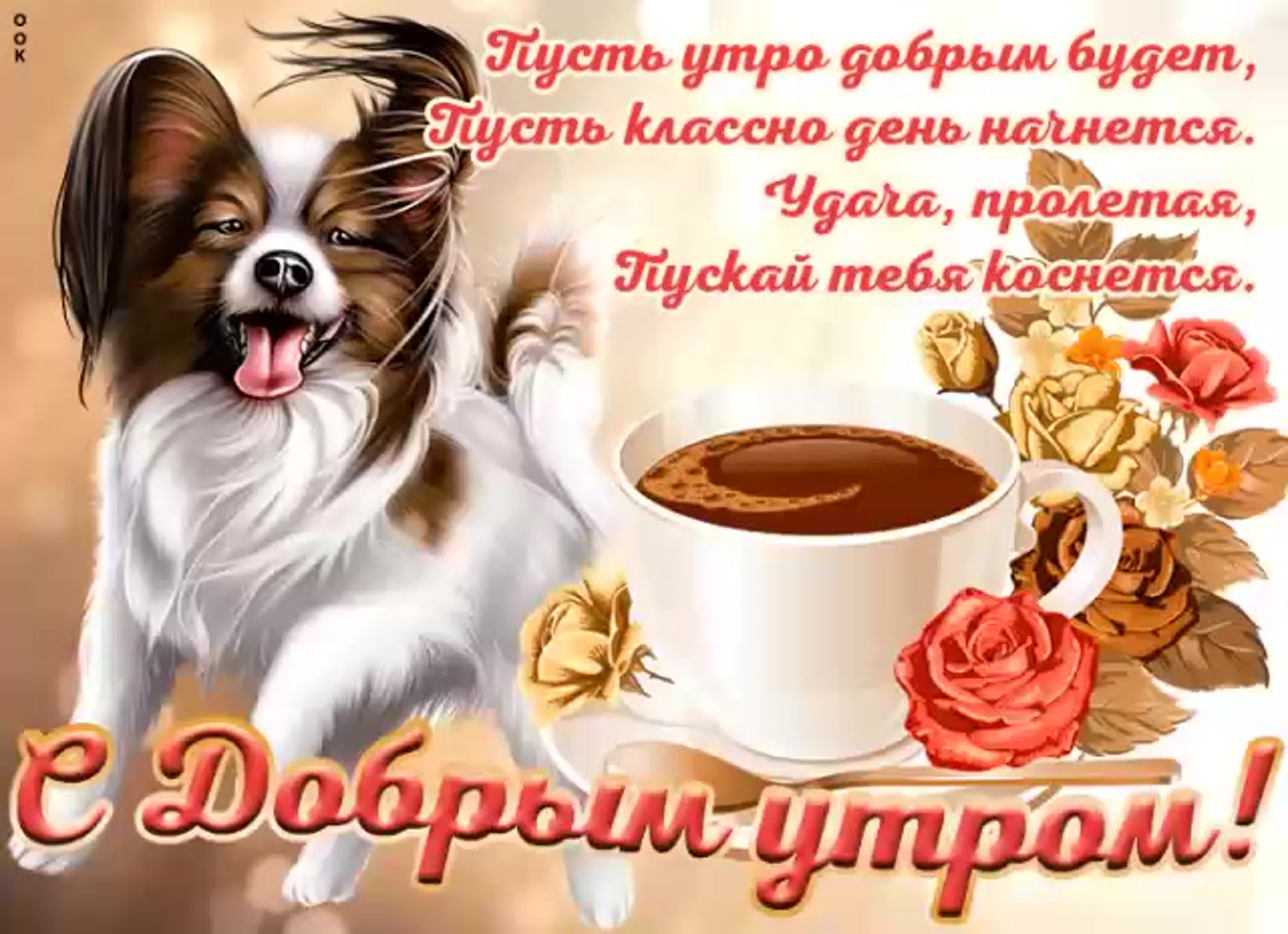 Картинка доброе утро прикольная женщине скачать бесплатно Открытка с добрым утром хорошего дня женщине: найдено 81 изображений