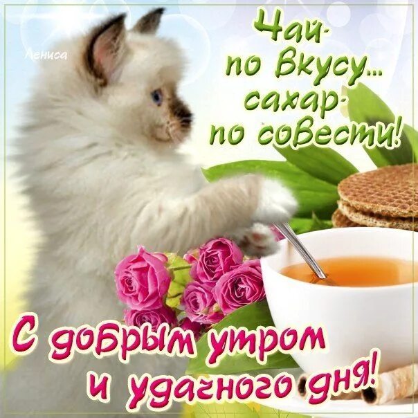 Картинка доброе утро прикольная женщине скачать бесплатно Доброе утро, хорошего дня Веселые картинки, Доброе утро, Открытки