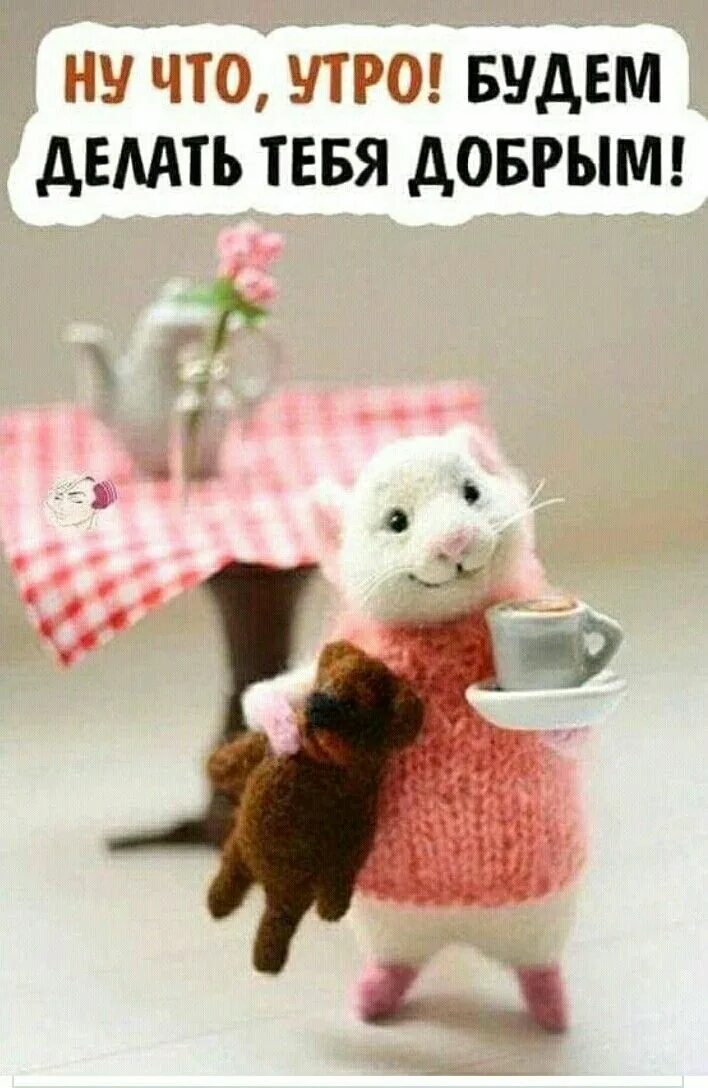 Картинка доброе утро прикольные взрослые Pin on ранкові привіти Good morning cards, Good morning funny, Morning quotes fu