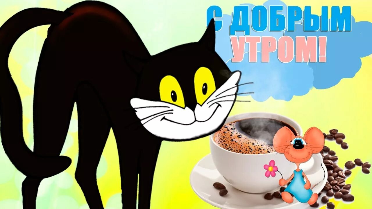 Картинка доброе утро прикольные взрослые Солнечный приивет. Верь в самое лучшее. Прикольное пожелание солнечного дня #Мир