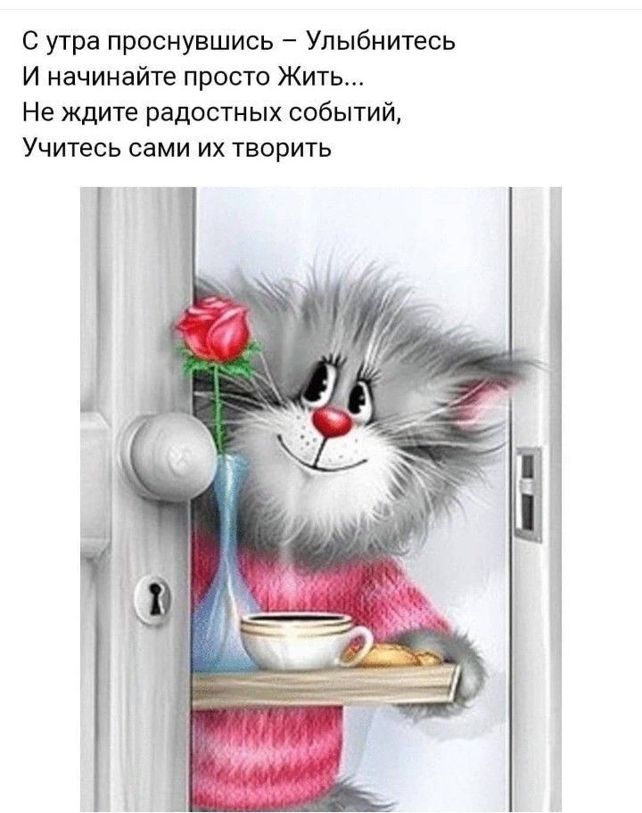 Картинка доброе утро прикольные взрослые Pin by Наталья Воронова on Вдохновляющие цитаты Jokes