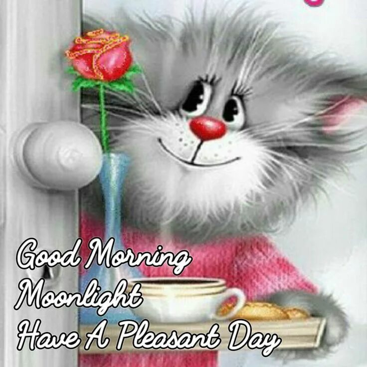 Картинка доброе утро прикольные взрослые Pin by Sharon Cloward on A 4 Shel Good morning cartoon, Good morning greetings, 