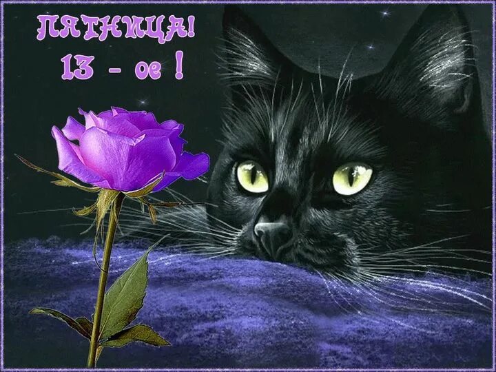 Картинка доброе утро пятница 13 прикольные Пятница, 13-е: прикольные картинки и открытки к 13 октября 2023 года - МК Волгог