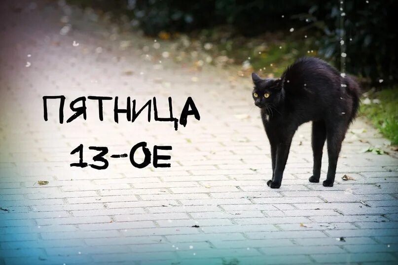 Картинка доброе утро пятница 13 прикольные Сегодня - пятница 13-ое, так называемый "день неудач". Вы верите в приметы? 2023