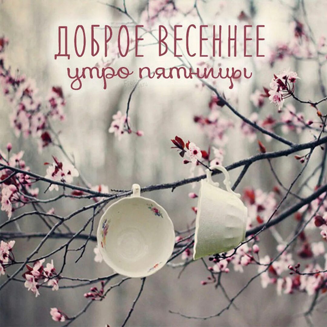 Картинка доброе утро пятница прикольная весенняя Доброе утро пятница, красивые весенние картинки Zamanilka
