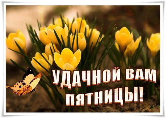 Картинка доброе утро пятница прикольная весенняя Сегодня пятница, крайний рабочий день. Впереди приятные выходные. Ученые доказал