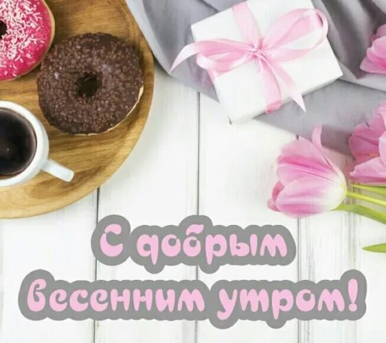 Картинка доброе утро пятница прикольная весенняя Доброе утро Страна! - 1556706 - Tabor.ru