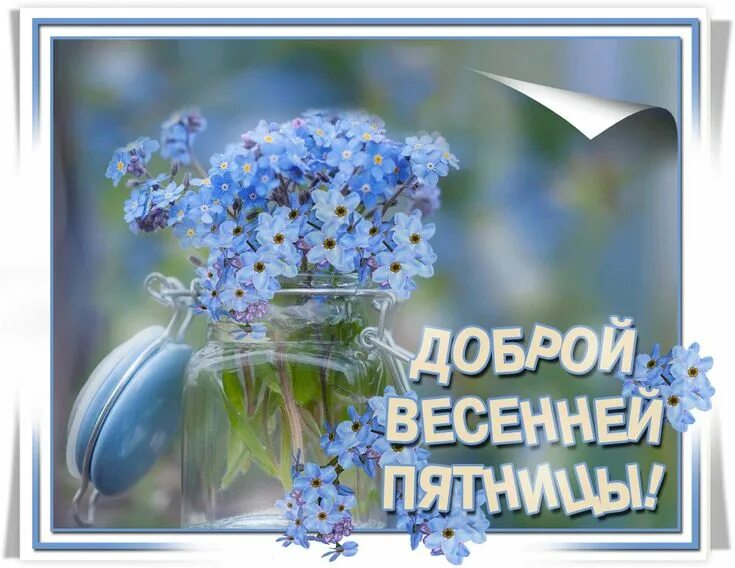 Картинка доброе утро пятница прикольная весенняя Pin von n@tk@ auf доброе утро ☀