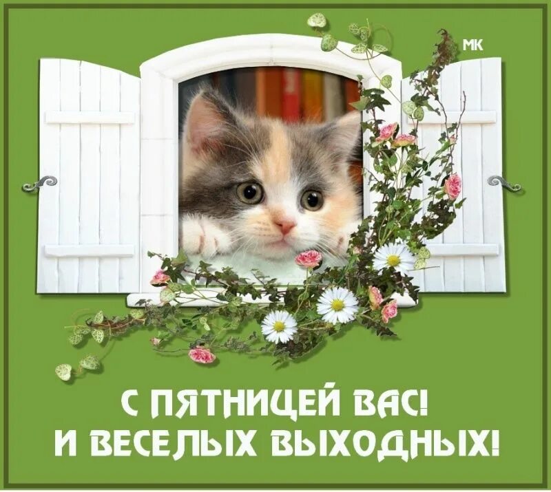 Картинка доброе утро пятница прикольная весенняя Открытки. С пятницей Вас! Веселых выходных! Веселые выходные, Доброе утро, Весел