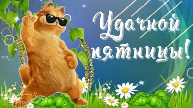 Картинка доброе утро пятница прикольная весенняя Доброе утро от Санго / Sango
