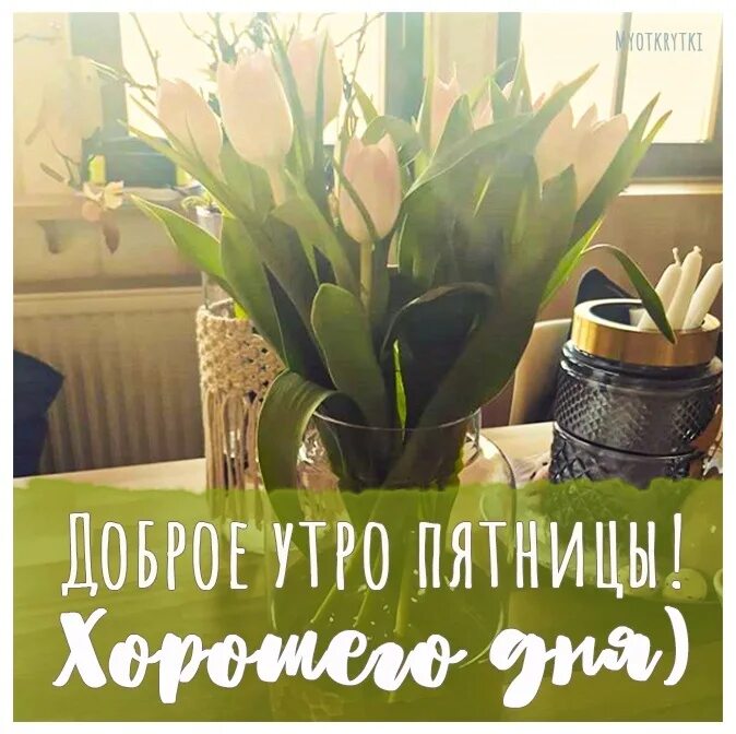 Картинка доброе утро пятница прикольная весенняя Утро доброе, проснитесь - Пятница уже пришла! Солнцу быстро улыбнитесь, Чтобы де