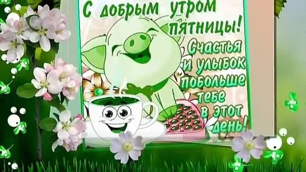 Картинка доброе утро пятница прикольная весенняя Доброе весеннее утро пятницы пожелания: найдено 39 изображений