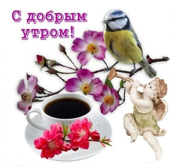 Картинка доброе утро пятница прикольная весенняя Желаем утра доброго И солнечных лучей, Улыбок притягательных, Приятных мелочей..