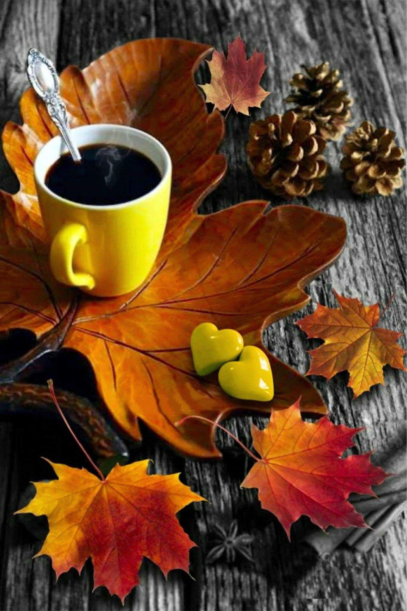 Картинка доброе утро с листьями Pin by Moonie65 on Fall - Autumn Autumn coffee, Autumn tea, Good morning coffee