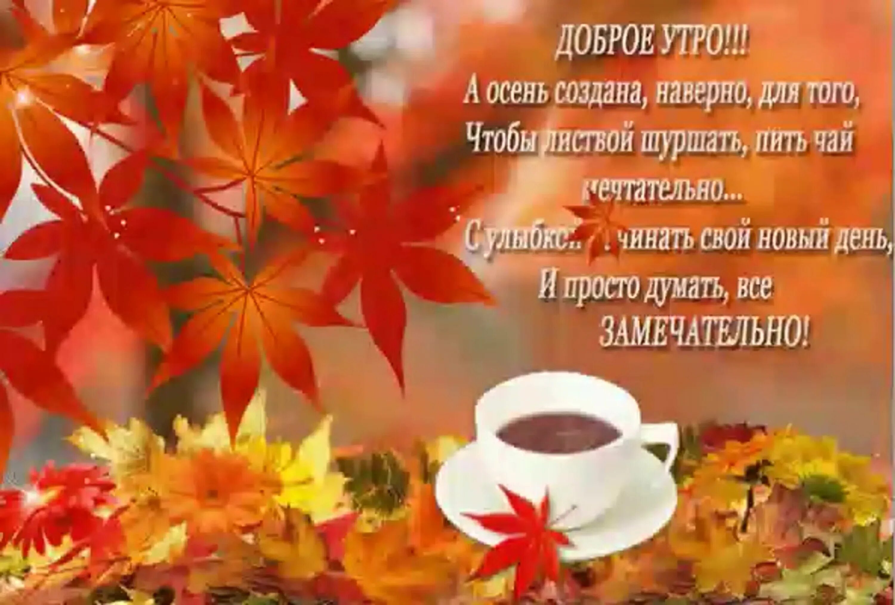 Картинка доброе утро с листьями Доброе утро среда осень (63 картинки)