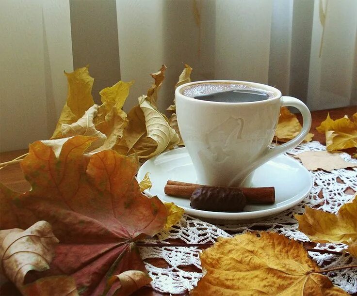 Картинка доброе утро с листьями Pin by Sandra Ioannidou on I LOVE COFFEE I love coffee, Good morning flowers, Gl