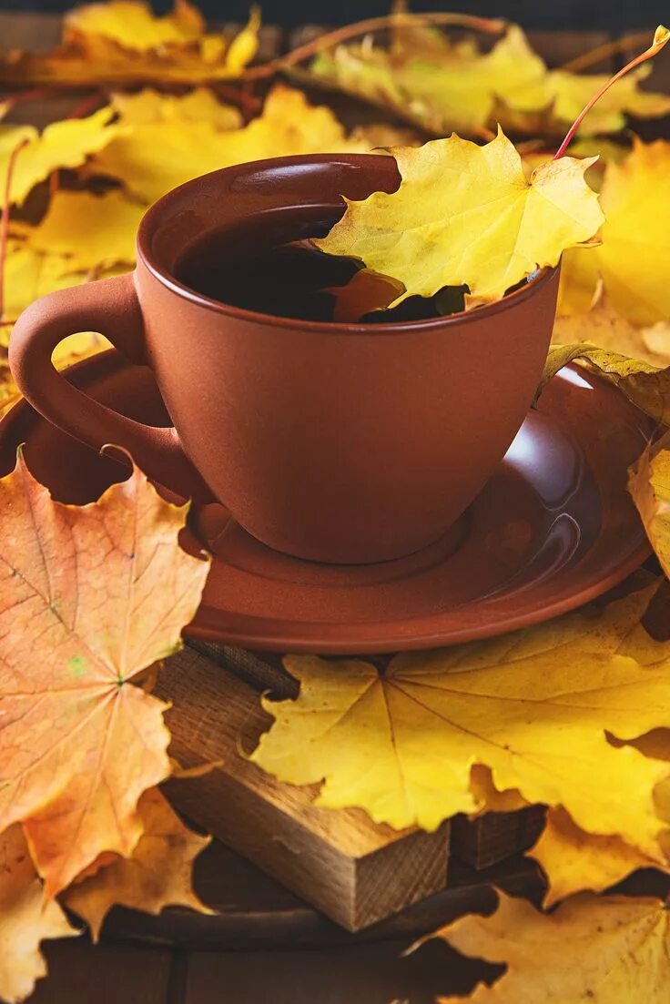 Картинка доброе утро с листьями Autumn, fall leaves, hot cup of coffee on wooden table background Immagini di ca