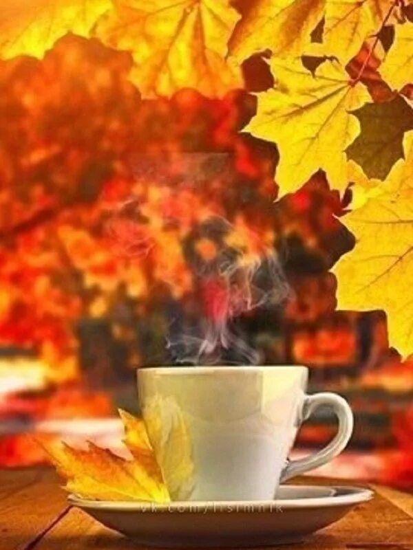 Картинка доброе утро с листьями Pin by Алла Беганская on Осень Autumn coffee, Autumn tea, Coffee and donuts
