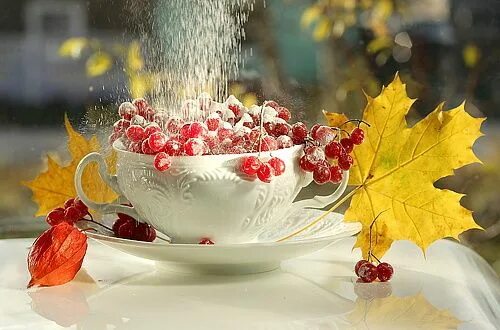 Картинка доброе утро с листьями Pin on ANGWI.. AUTUMN FLOWERS
