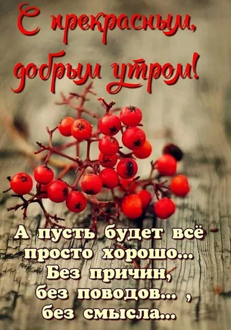 Картинка доброе утро с пожеланиями жизненными Pin on Доброе утро Good morning greetings, Good morning photos, Happy birthday v