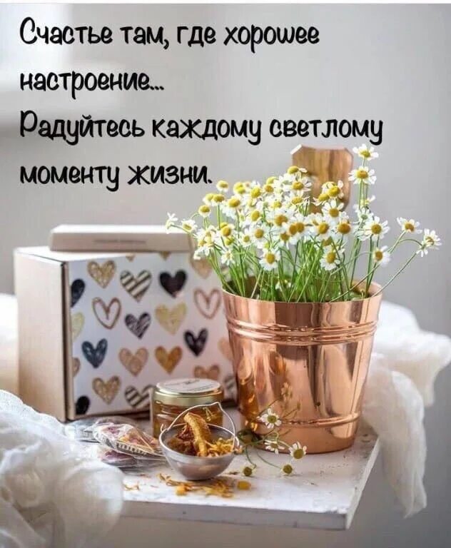 Картинка доброе утро с пожеланиями жизненными Pin von Natanikolaevna auf цытаты Sprüche zitate, Sprüche, Zitate