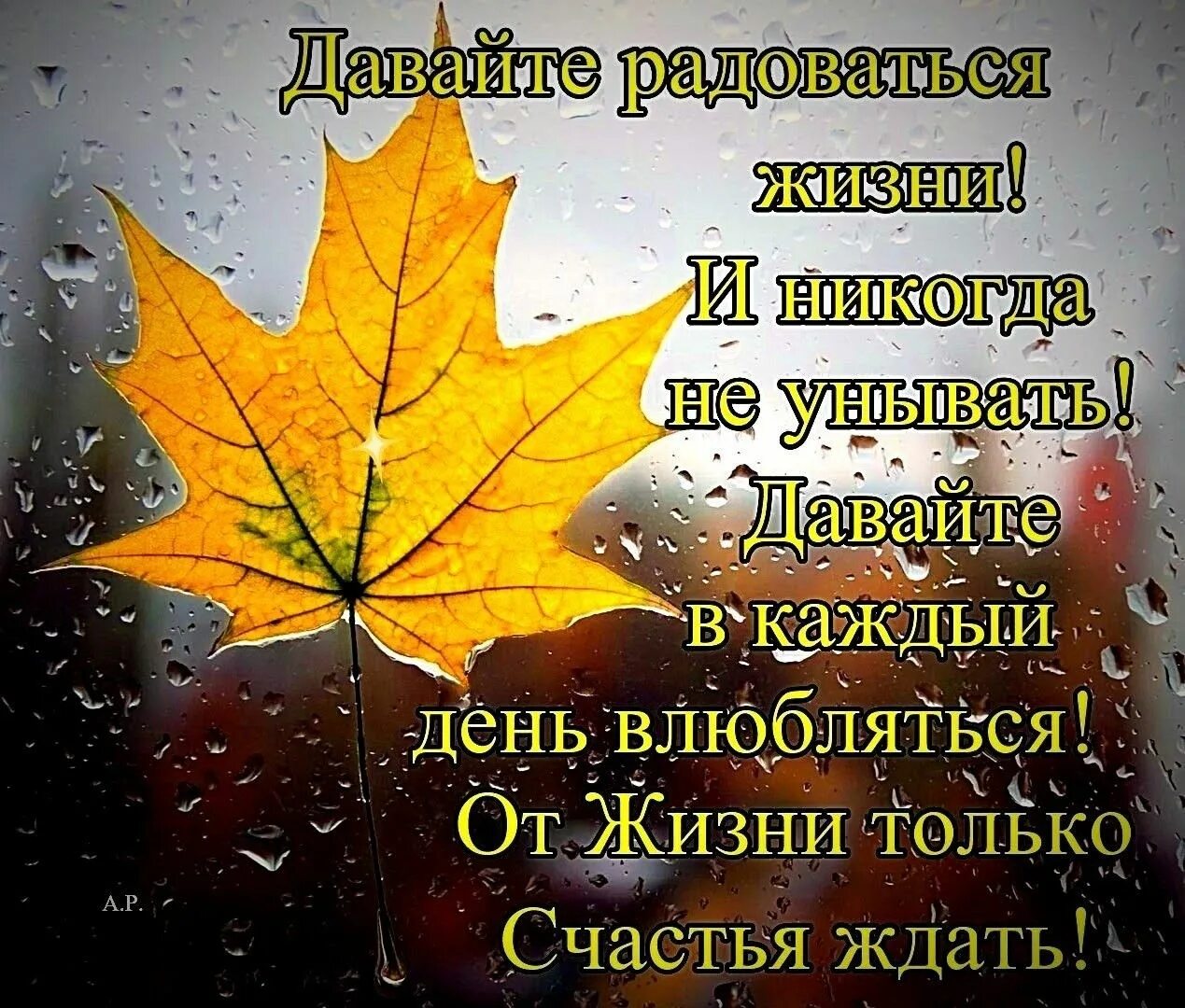 Картинка доброе утро с пожеланиями жизненными осенняя Pin on Осень Montreal botanical garden, Poster, Movie posters