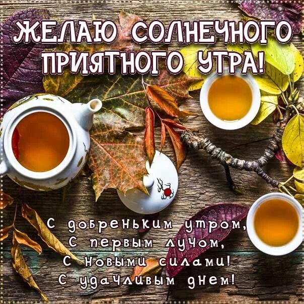 Картинка доброе утро с пожеланиями жизненными осенняя Картинки с пожеланиями утро осень Доброе утро, Картинки, Утренние цитаты