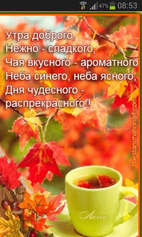 Картинка доброе утро с пожеланиями жизненными осенняя Пин от пользователя Я на доске Осень Доброе утро, Утренние цитаты, Утренние сооб