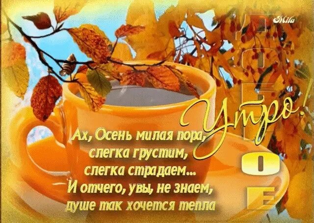 Картинка доброе утро с пожеланиями жизненными осенняя С добрым утром! 2023 Группа 5 МБДОУ д/с 75 ВКонтакте
