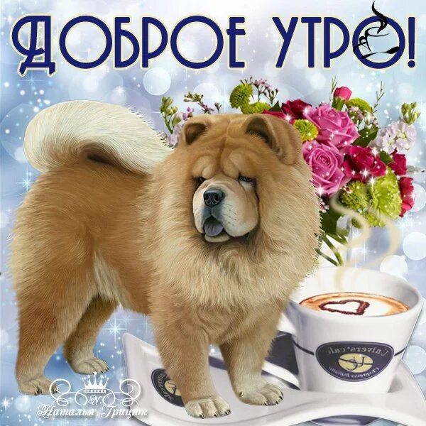 Картинка доброе утро с собакой красивые картинки Доброе утро, день, вечер Доброе утро, Друзья, Открытки