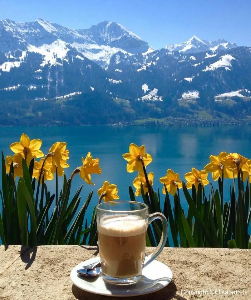 Картинка доброе утро с видами красивой природы Interlaken on Twitter Coffee art, Coffee cups, Coffee