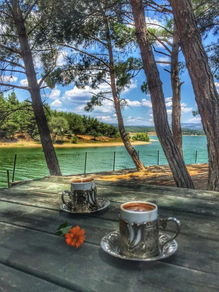 Картинка доброе утро с видами красивой природы Pin de Canan Kiremitcıler em Foto objektifimden Imagens de café, Café da manhã, 