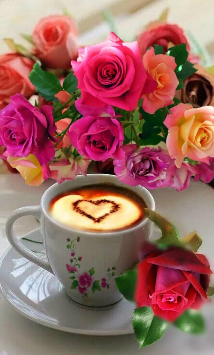 Картинка доброе утро скачать бесплатно на телефон Pin on Good Morning Love Good morning coffee, Good morning roses, Beautiful rose