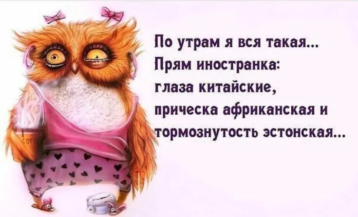 Картинка доброе утро смешная для поднятия настроения шо уже утро картинки: 8 тыс изображений найдено в Яндекс.Картинках Смешно, Позит