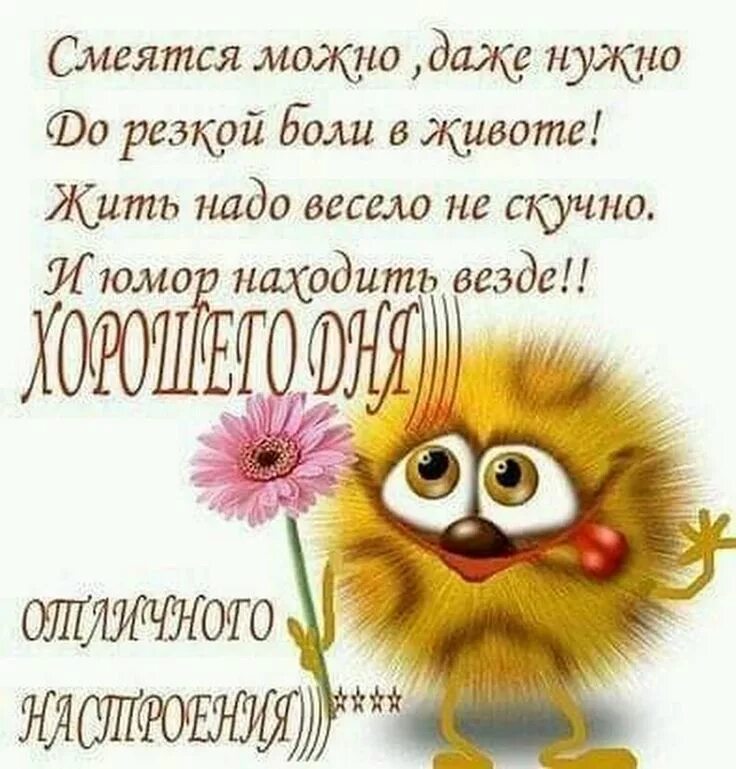 Картинка доброе утро смешная для поднятия настроения Пин от пользователя Жанна на доске Доброе утро Картинки для поднятия настроения,