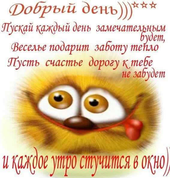 Картинка доброе утро смешная для поднятия настроения Открытки для любимой на утро Доброе утро, Смешно, Юмор