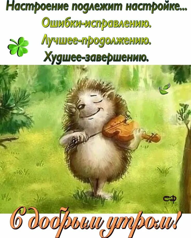 Картинка доброе утро смешная для поднятия настроения Пин на доске Доброе утро Доброе утро, Жизнеутверждающие цитаты, Смешные таблички
