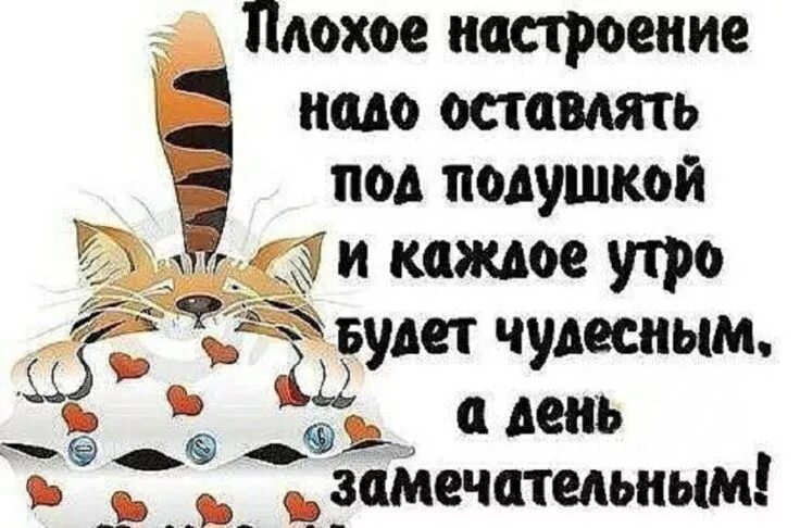 Картинка доброе утро смешная для поднятия настроения Pin von Олена Краснобока auf Ранок..вечір
